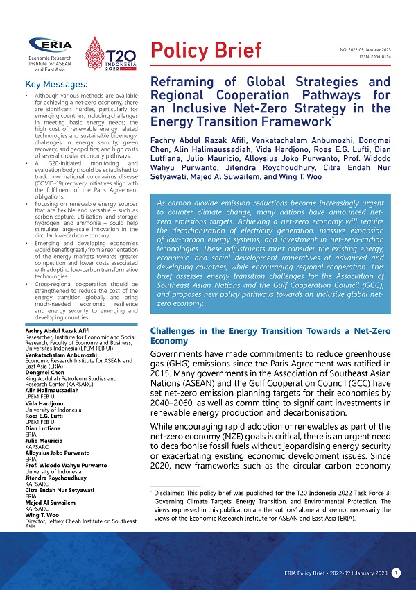 Reframing of Global Strategies and Regional Cooperation Pathways for an Inclusive Net-Zero Strategy in the Energy Transition Framework